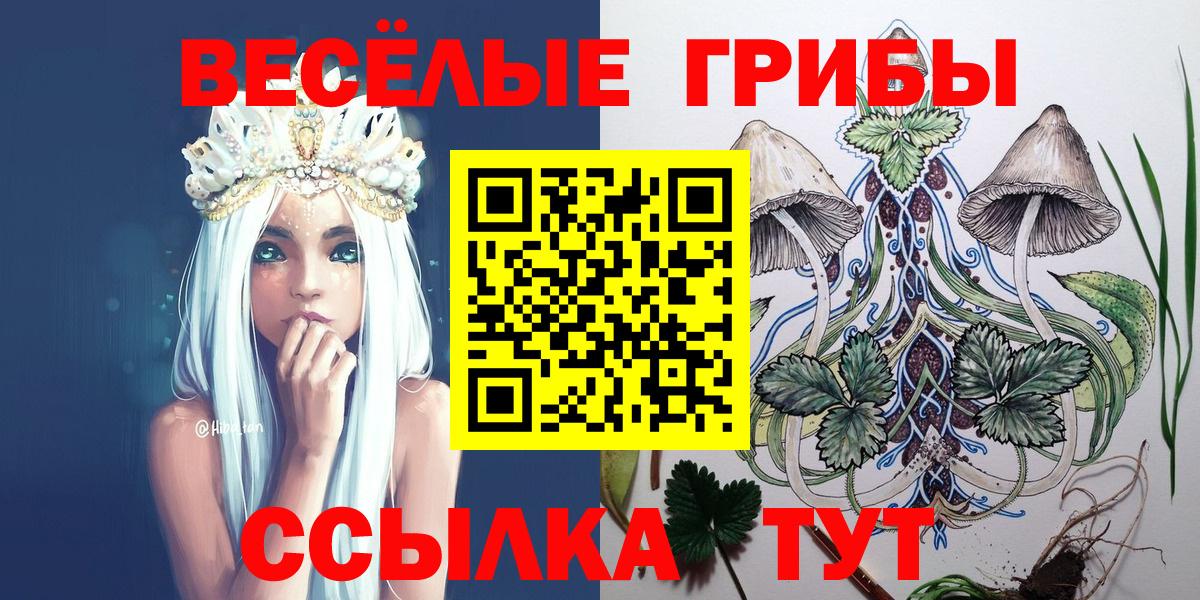 Галлюциногенные грибы GOLDEN TEACHER Сокол