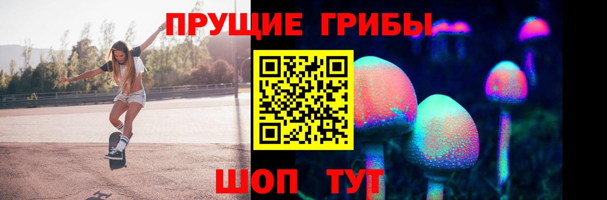 Сокол  Псилоцибиновые грибы прущие грибы  Вход с VPN  Галлюциногенные грибы прущие грибы 